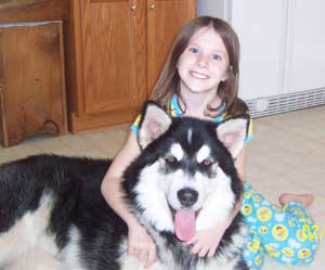 Hudons Malamutes - Casey & Daulton