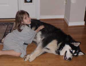 Hudons Malamutes - Casey &Daulton