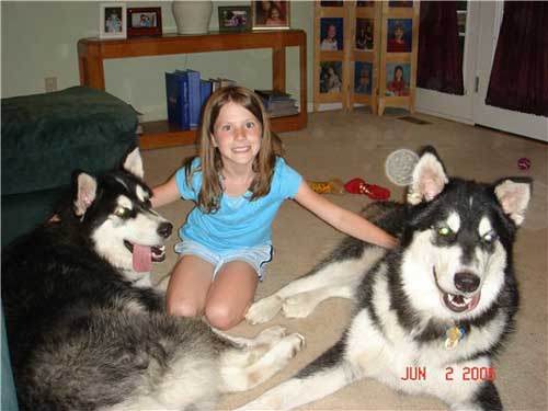 Hudons Malamutes - Casey & Daulton
