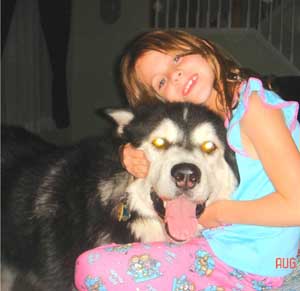 Hudons Malamutes - Casey &Daulton