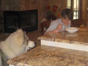 Hudsons Malamutes - Juneau