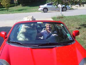 Hudons Malamutes - Kaskae