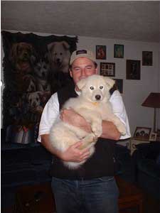 Hudons Malamutes - Murray