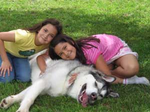 Hudons Malamutes - Riley