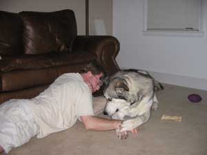 Hudons Malamutes - Riley