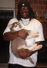 Hudson's Malamutes - Tennessee Titans Chris Henry with A Hudsons puppy.